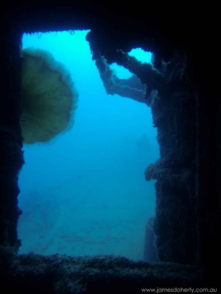 Diving the Wreck of the Konanda Freighter
