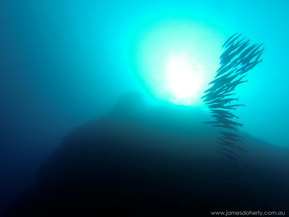 Diving at Poole's Rock and Hat Island, Vanuatu